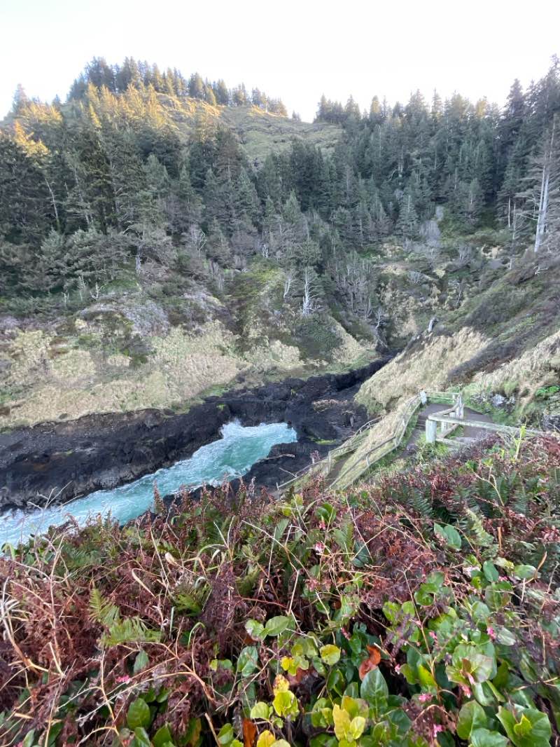 walking near me in Cape Perpetua Marine Reserve in spring