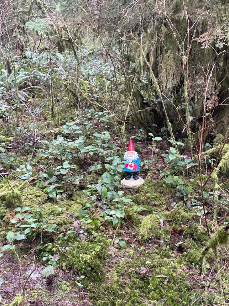 walking near me in Silver Falls State Park in spring