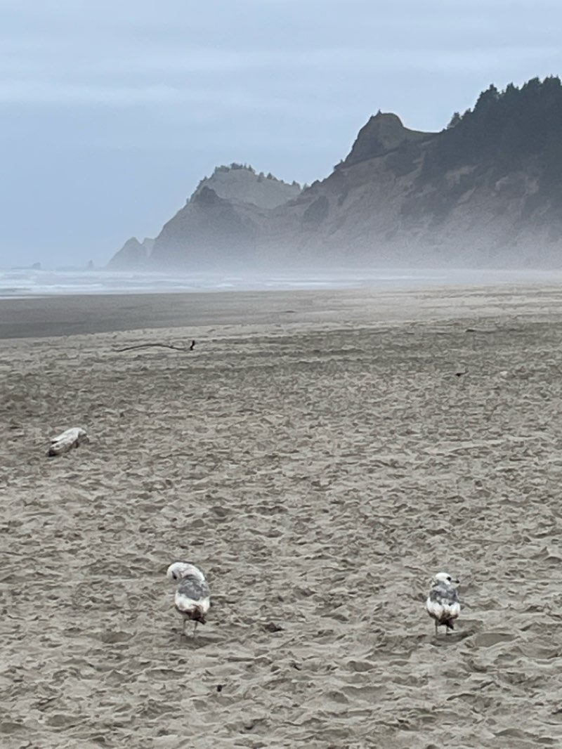 walking near me in Cascade Head Marine Reserve in summer