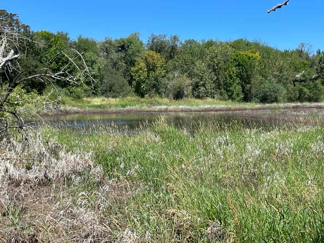 walking near me in Ankeny National Wildlife Refuge in summer