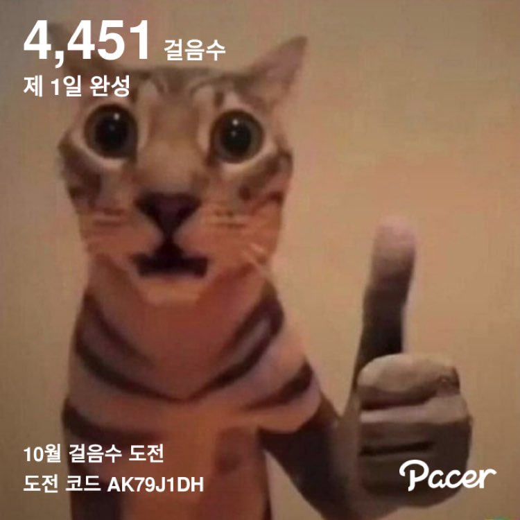 운동하는 춘식이 post 1