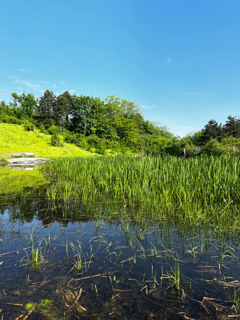 walking near me in Nordsternpark in winter