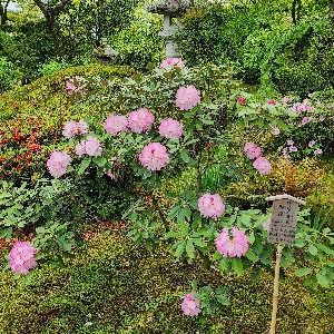 전승욱(안전품질팀) icon