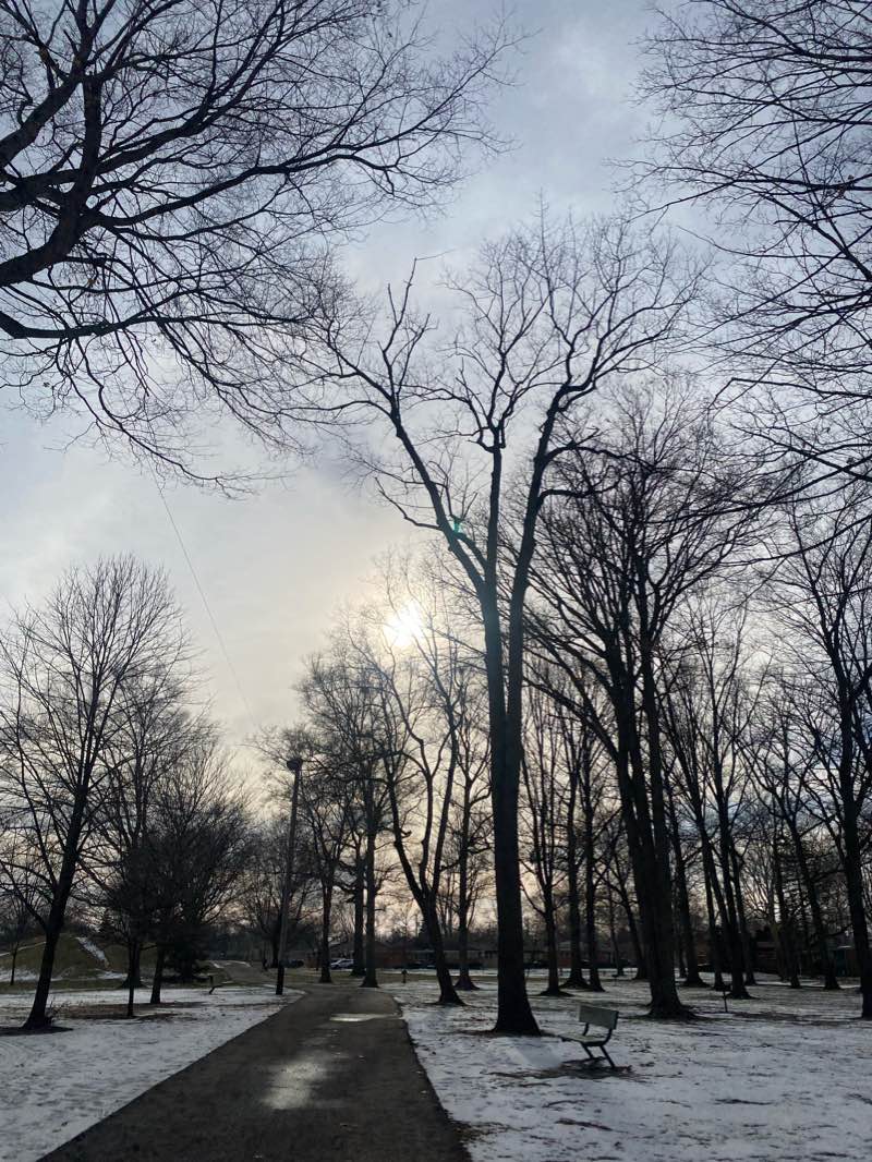 walking near me in David H. Shepherd Park in winter