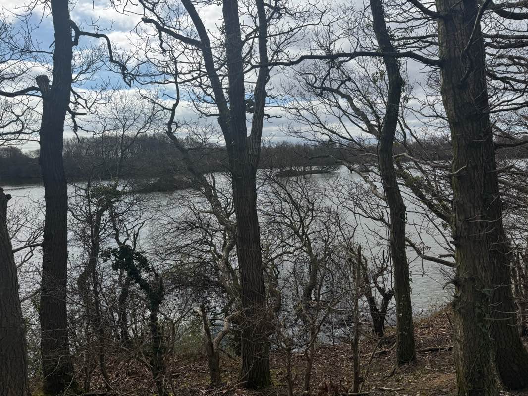 walking near me in Pity Me Carrs Local Nature Reserve in spring