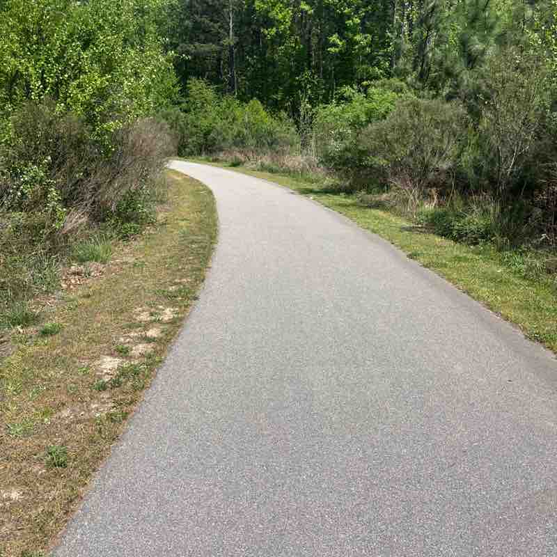 Marshall Hales post 1