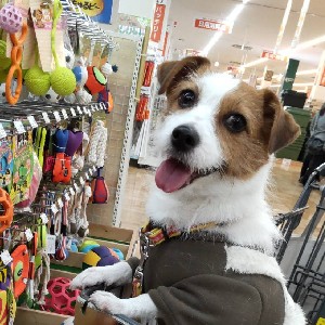 佐藤 彩香(業務企画部) profile