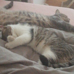 participant 1