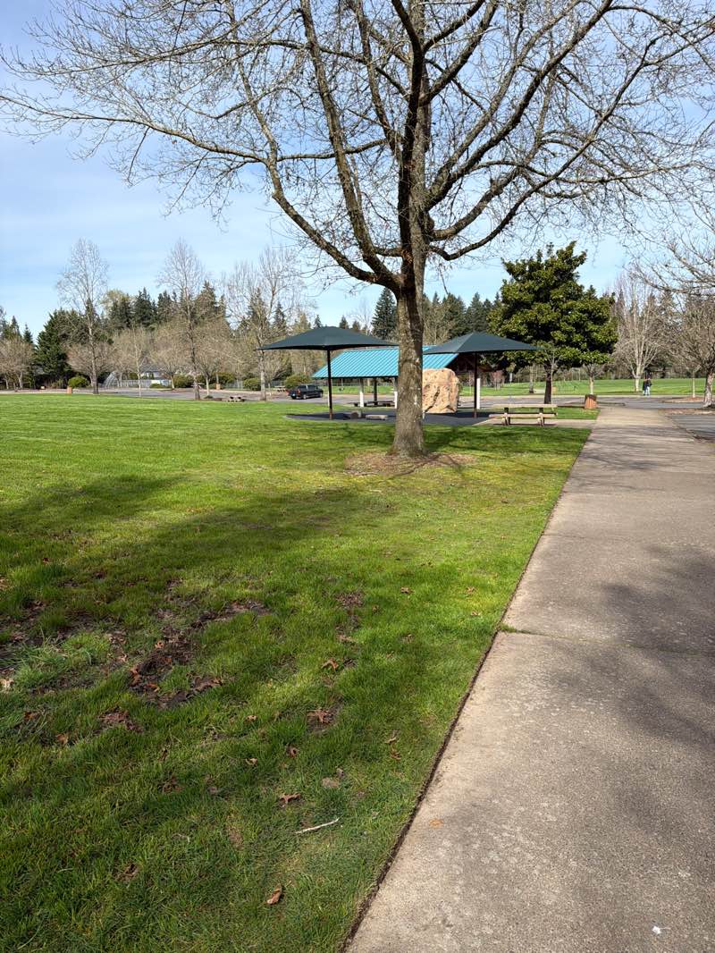 walking near me in Ibach Park in spring