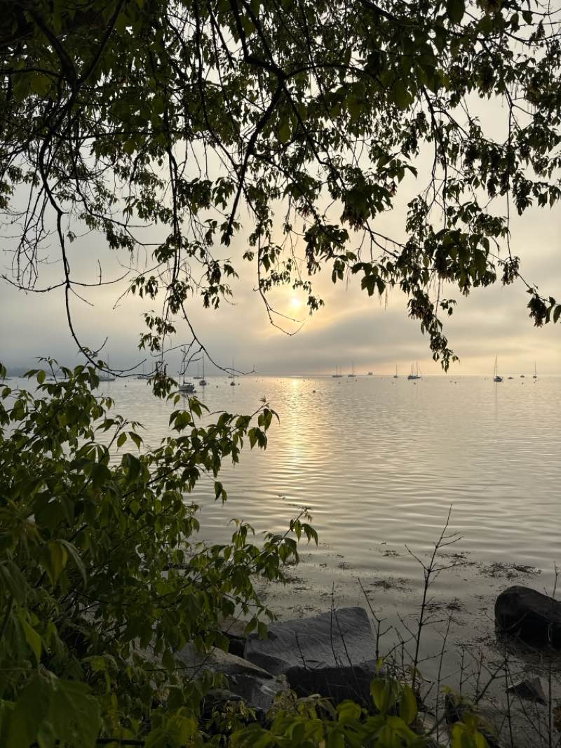 walking near me in Harbor Park in summer