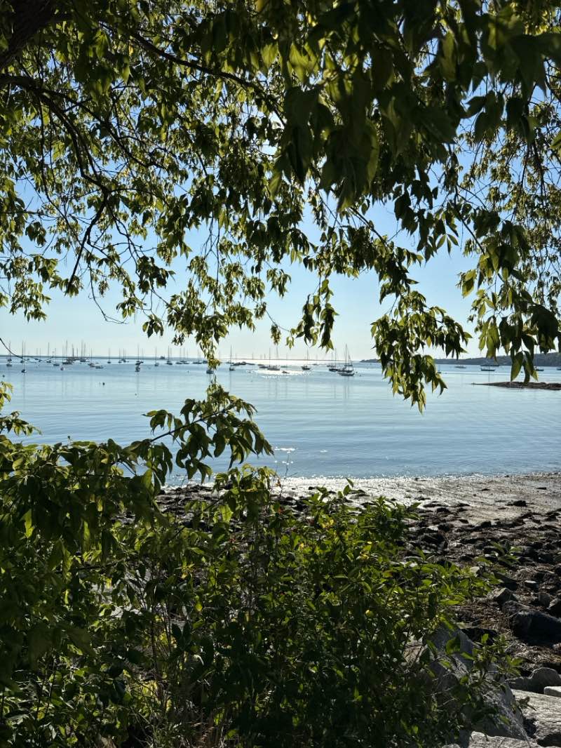 walking near me in Harbor Park in summer