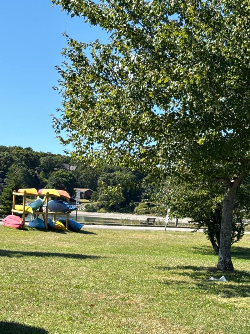 walking near me in Snow Marine Park in autumn