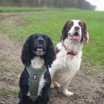 Hope and Max 💛 post 1