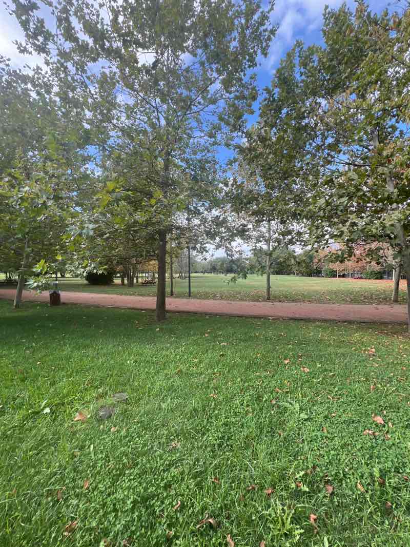 walking near me in Küçüksu Çayırı in autumn