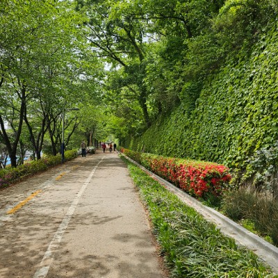 달려라그니 post 3