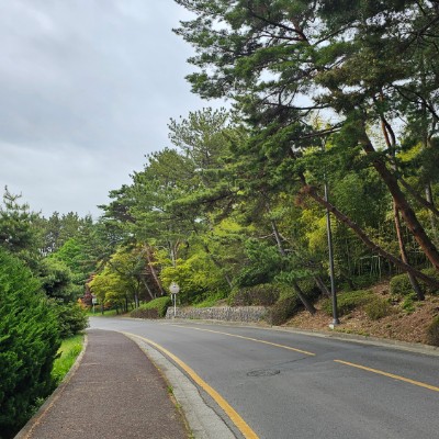 달려라그니 post 3