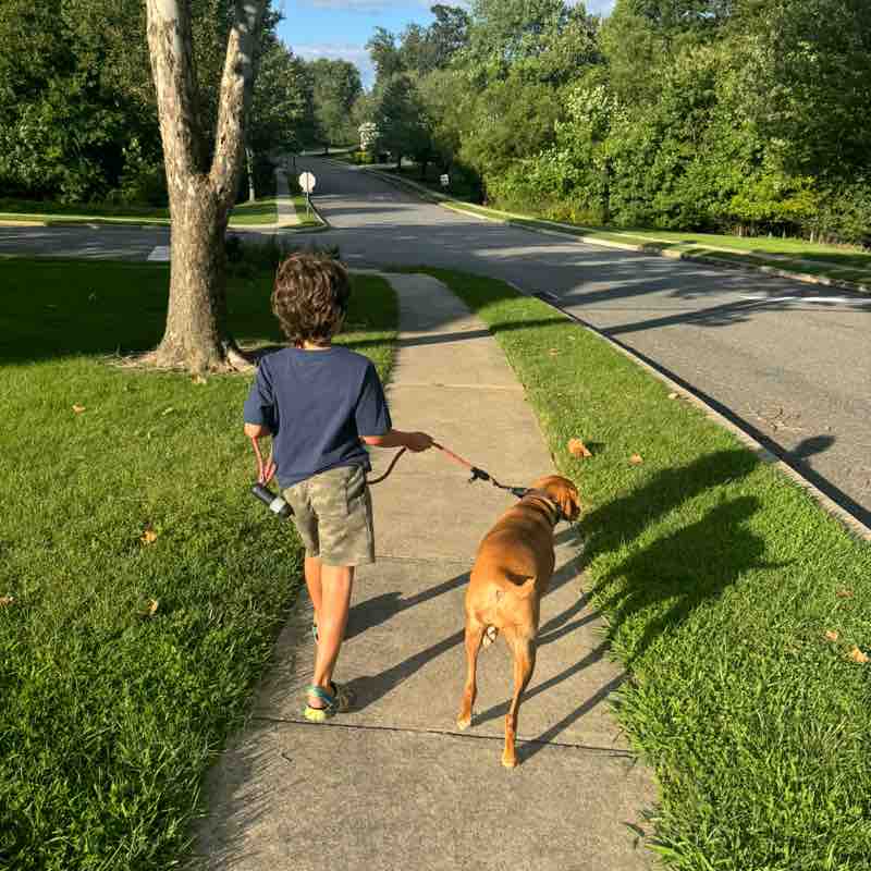 DDOT Family & Friends Joe S. post image