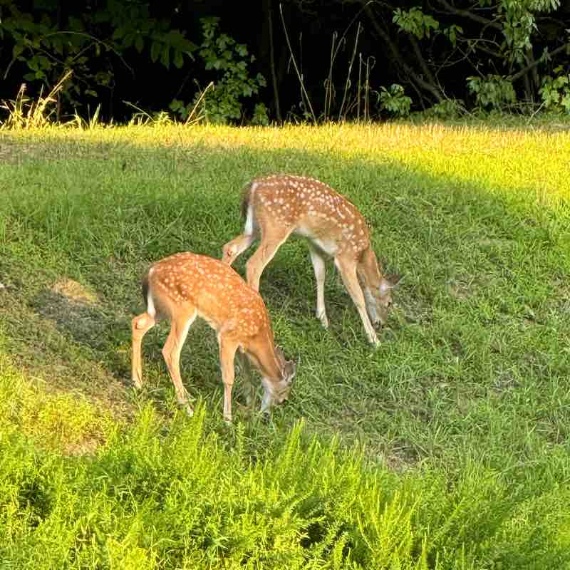 DDOT Family & Friends Joe S. post image