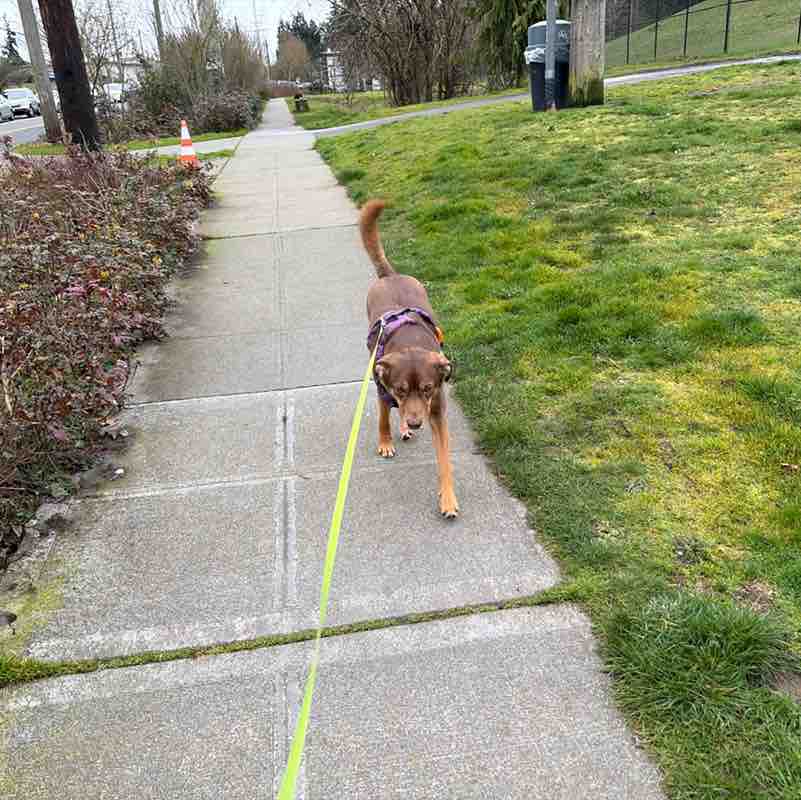 Anthony Antonio Delgado post 2