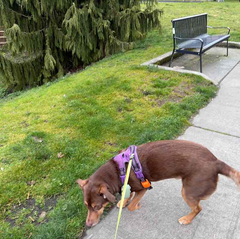 Anthony Antonio Delgado post 1