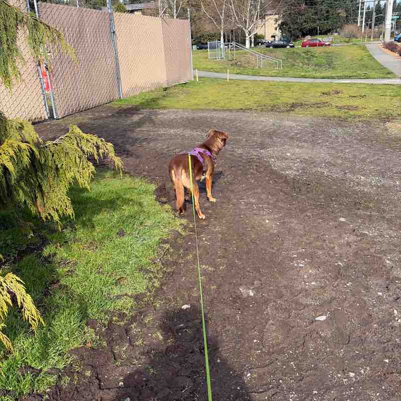 Anthony Antonio Delgado post 1