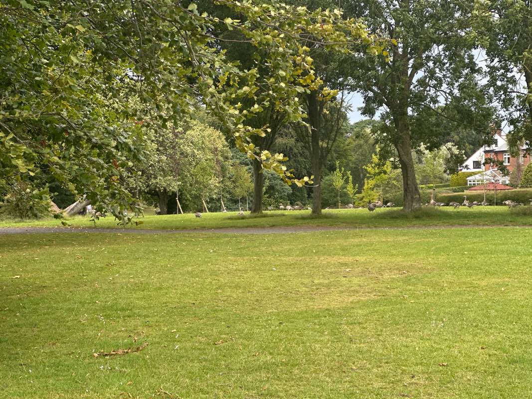 walking near me in Ward Park in autumn