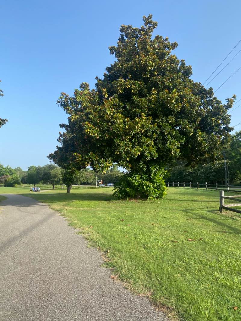 walking near me in Blount Cultural Park in winter