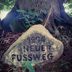 Laura ☀️ profile