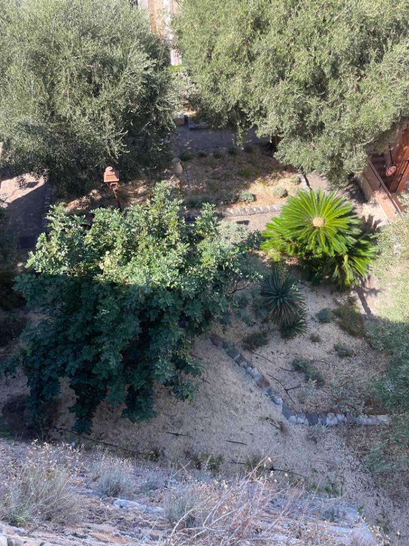 walking near me in Square Reynaldo Hahn in autumn