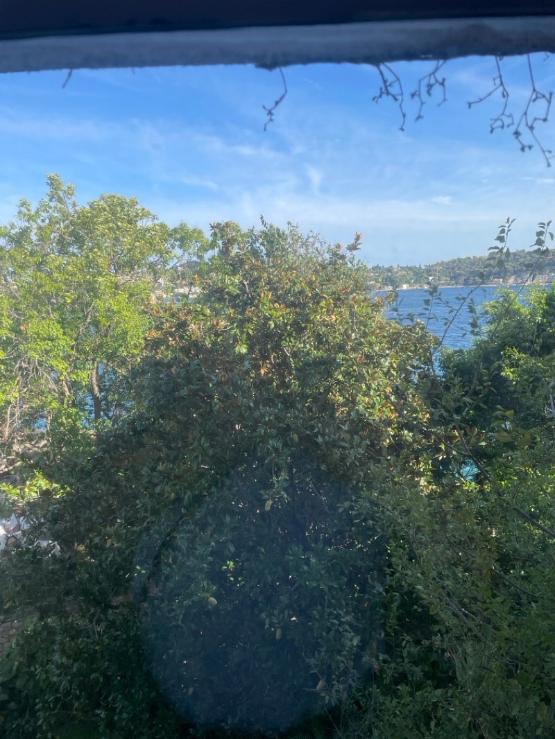 walking near me in Promenade du Paillon in autumn