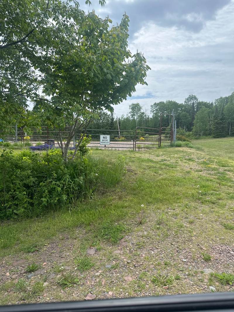walking near me in Gunflint Horse Arena & Dog Park in summer