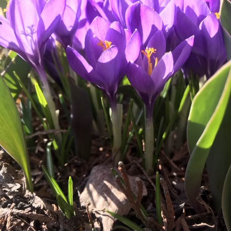 Паляшуки Наталия post image