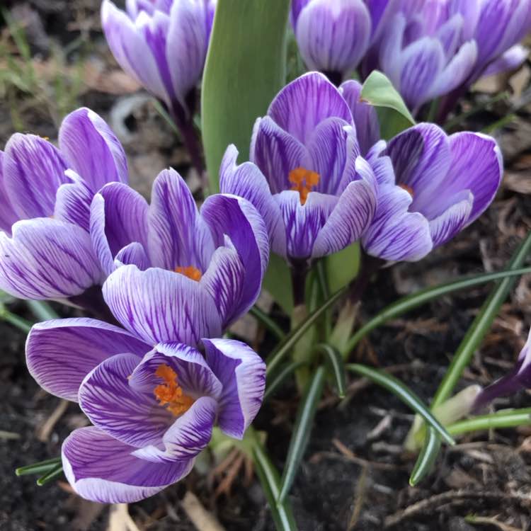 Паляшуки Наталия post image