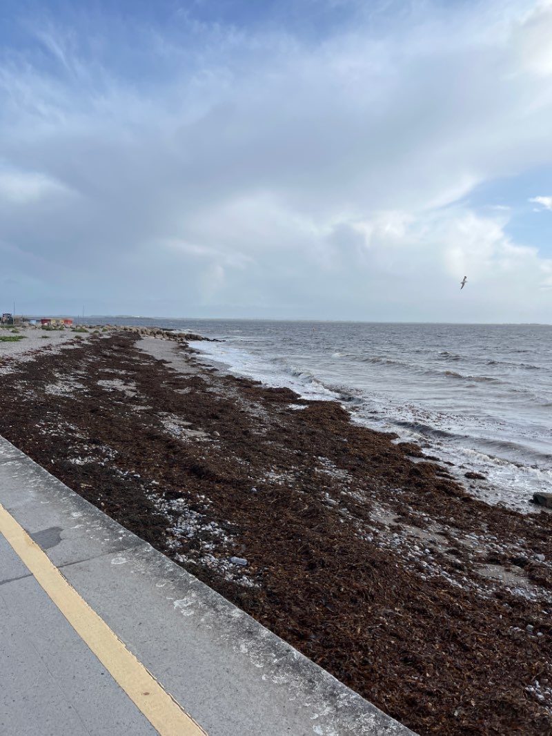 walking near me in Father Burke Park in winter