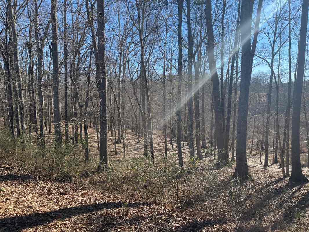 walking near me in Hobbs Farm Park in winter