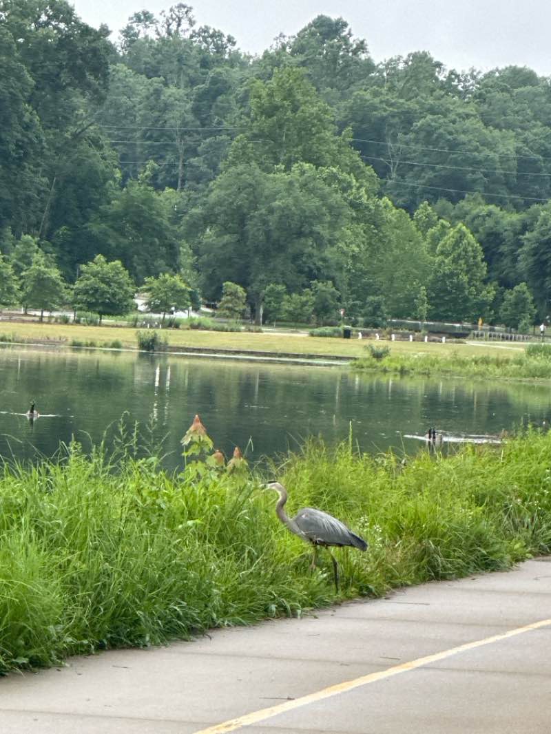 walking near me in The Railyard in summer