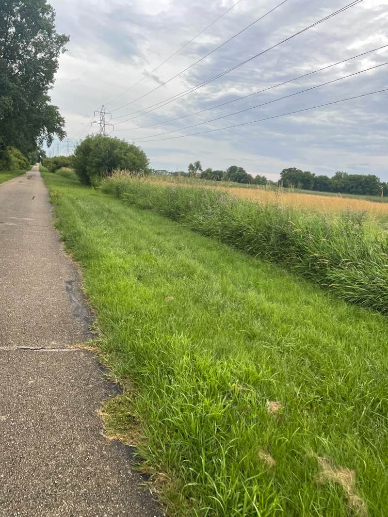 walking near me in Bender Park in winter