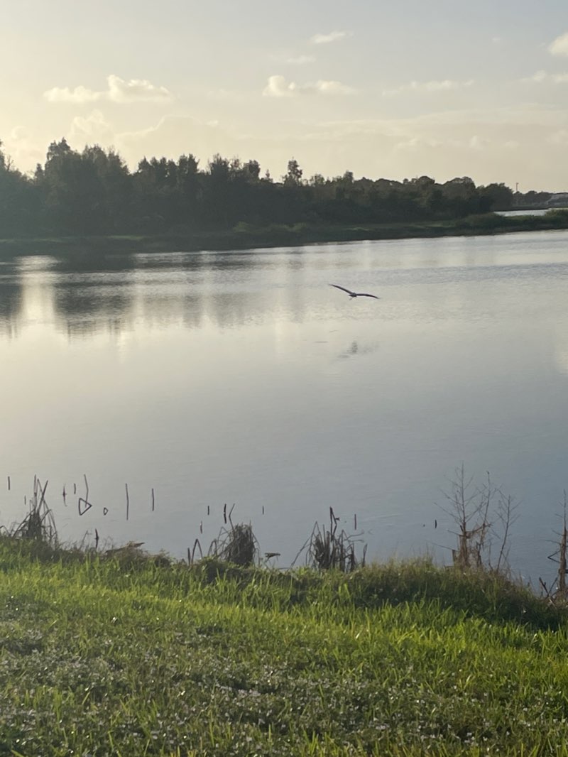 walking near me in McKnight Family Sports Complex in winter