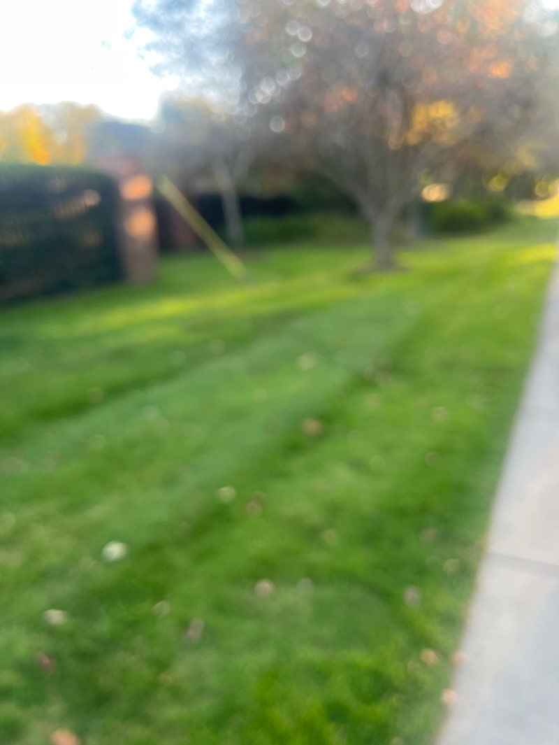 walking near me in Neff Park in autumn