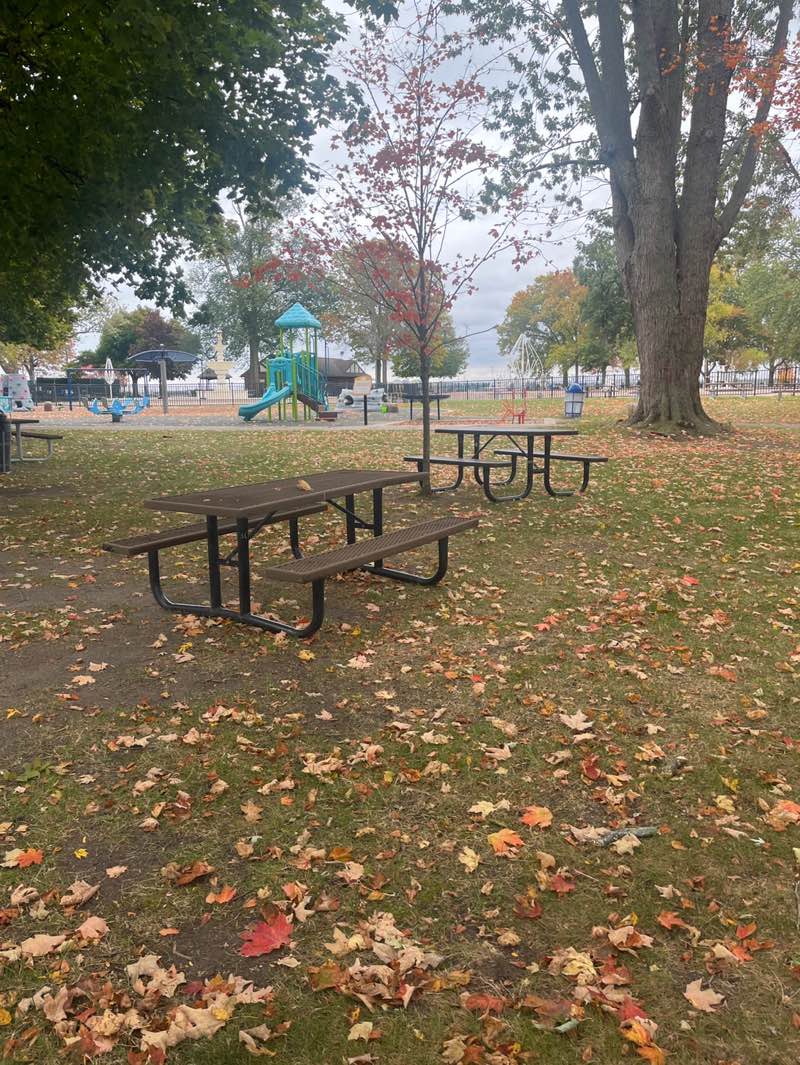 walking near me in Windmill Pointe Park in autumn