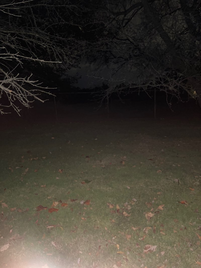 walking near me in Matthew C. Patterson Park in autumn