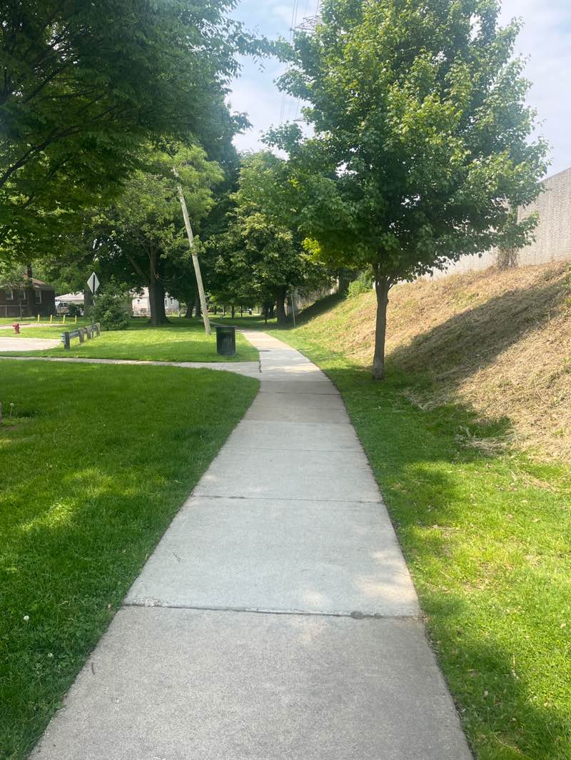 walking near me in Fair Park in summer