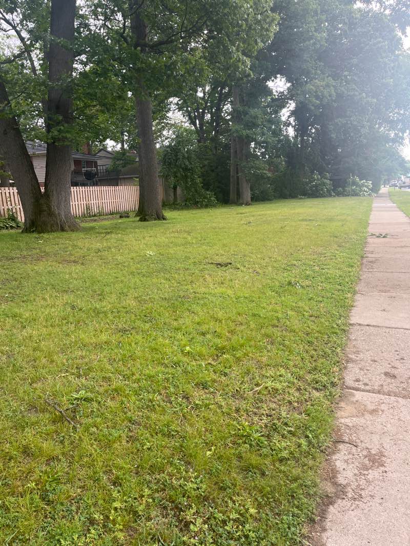 walking near me in Oakridge Park in summer