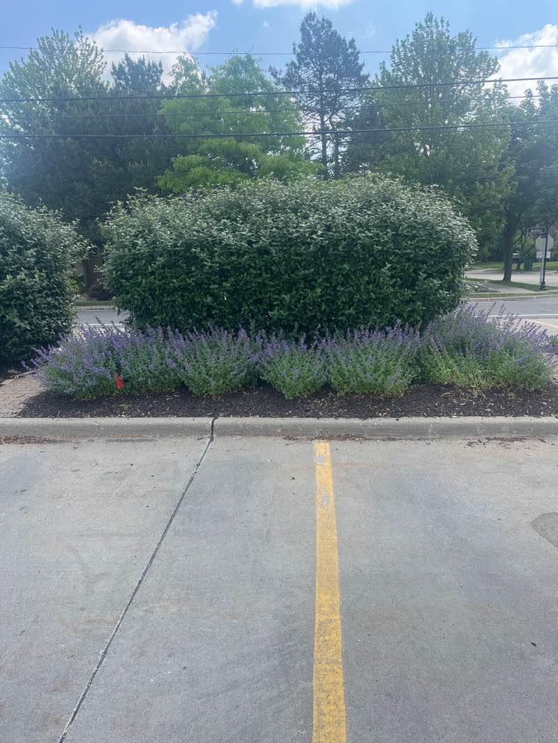 walking near me in Community Center Park in summer