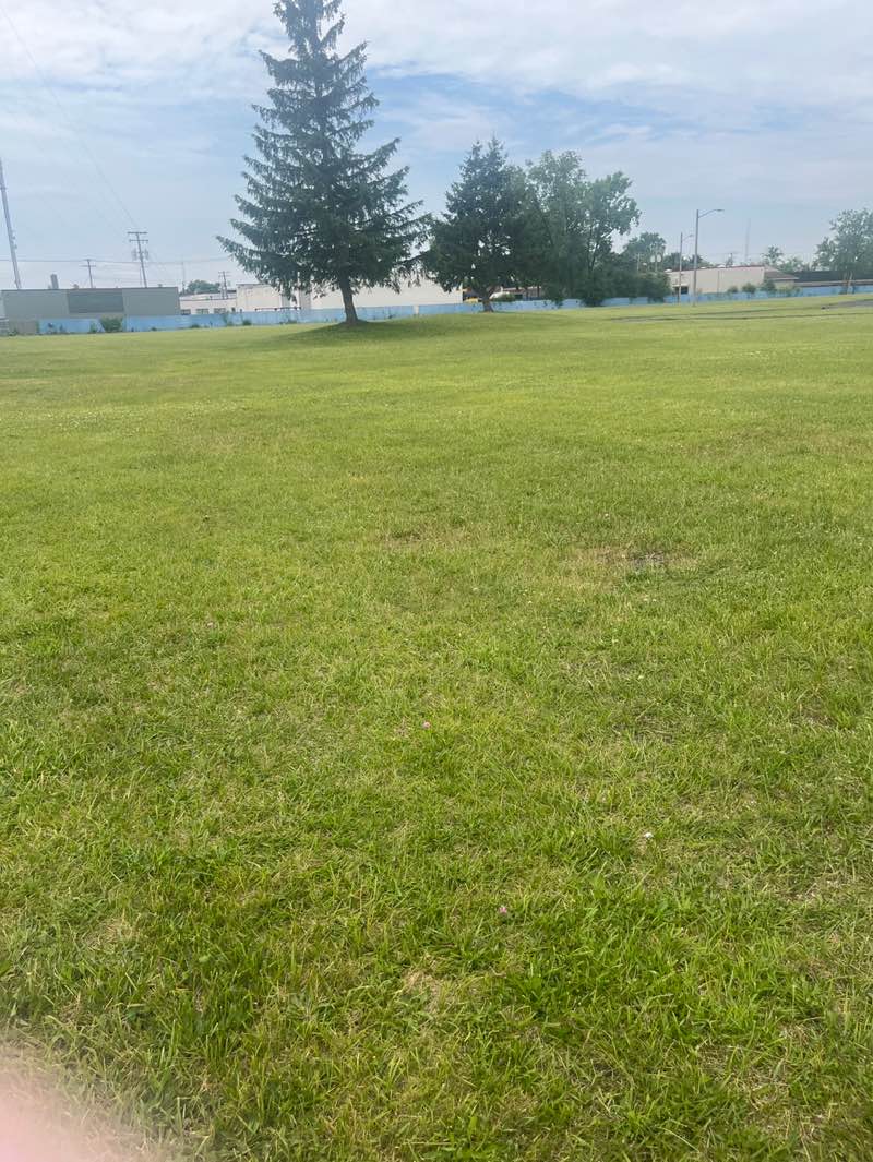 walking near me in Lessenger Park in summer