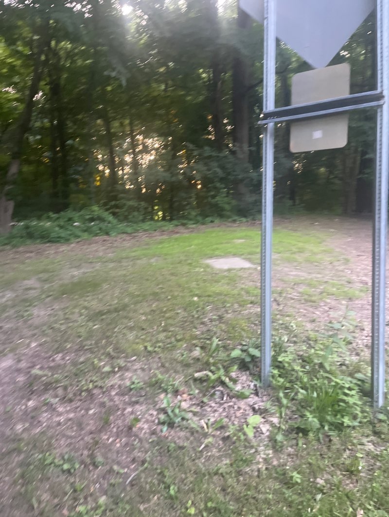 walking near me in Northville West Recreation Area in autumn