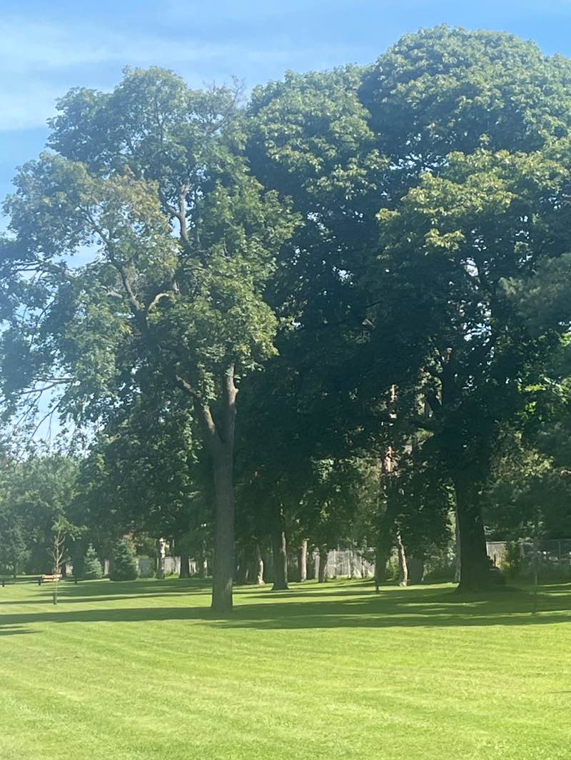 walking near me in David Oppenheim Memorial Park in autumn