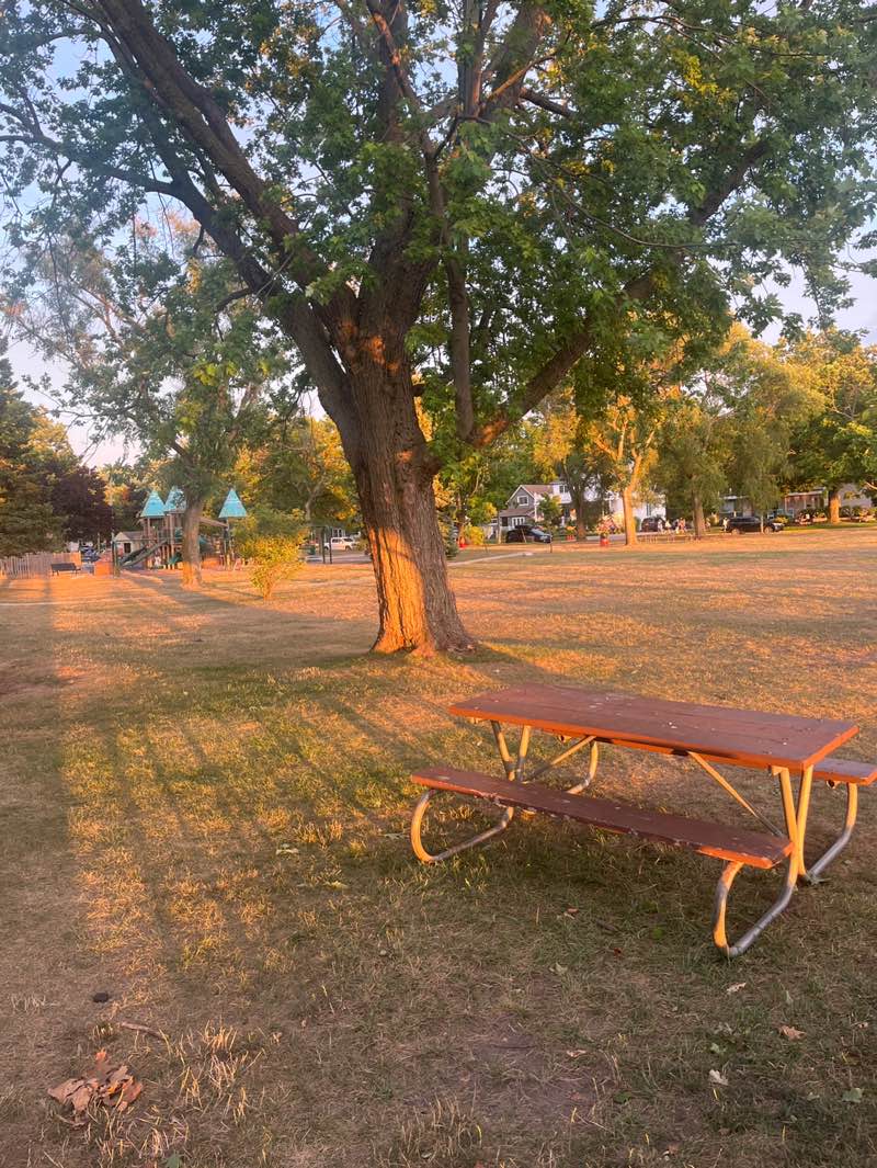 walking near me in Monroe Park and Kids' Corner in autumn