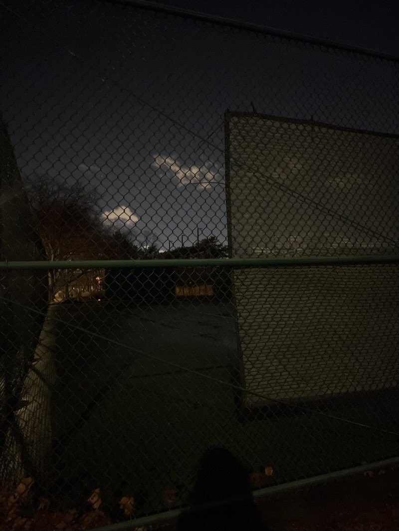 walking near me in Elworthy Field in winter