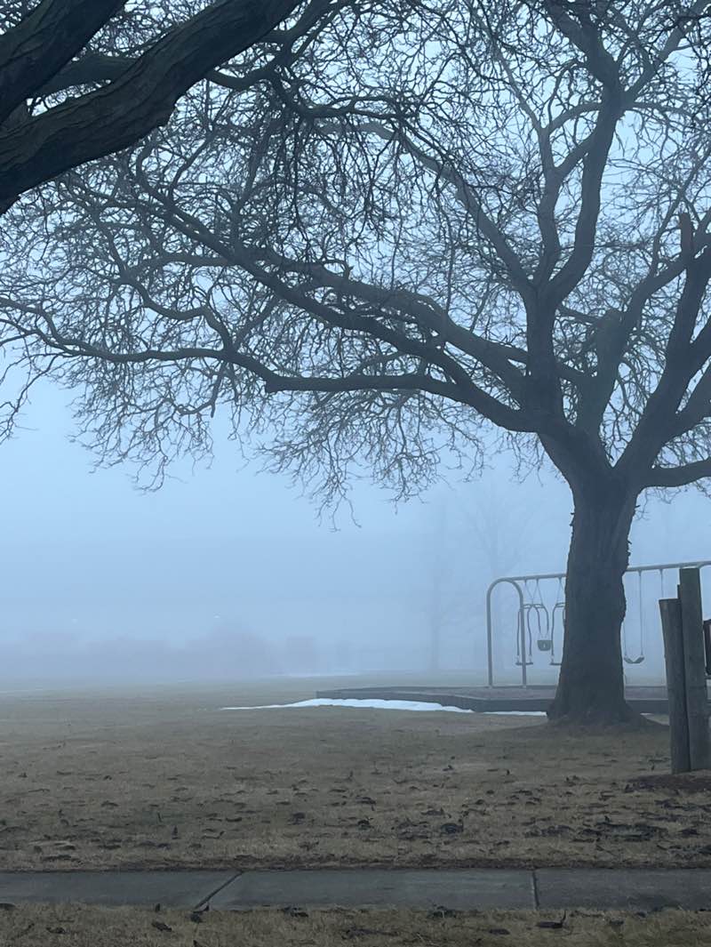 walking near me in Frederick Park in winter